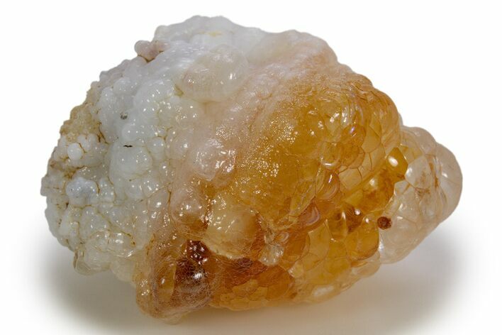 Botryoidal Hyalite Opal with Chalcedony - Mexico #324360